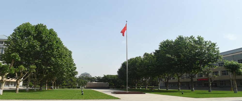 以班级为单位